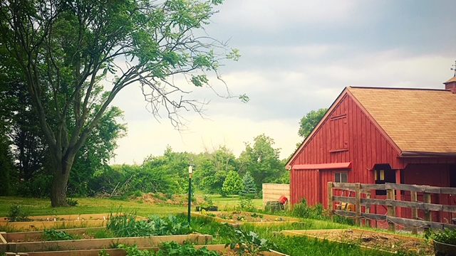 Why I Offer Overnight Pet Sitting on My Own Farm
