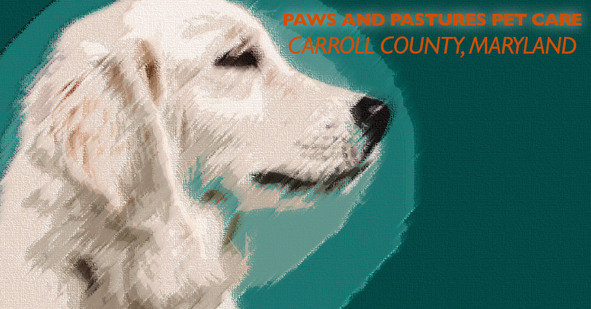 Your Pet’s Home Away From Home: Pet Sitting in Westminster, Maryland