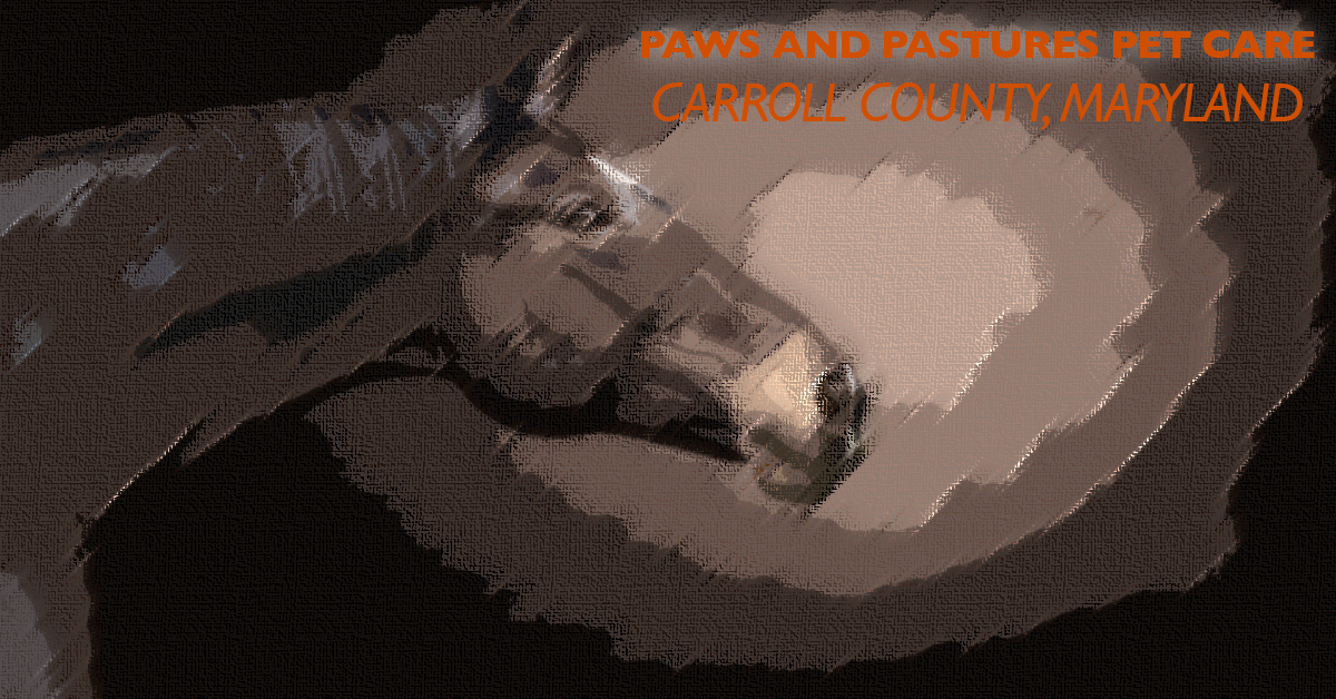 Emergency Preparedness on the Farm: What I’m Trained to Handle