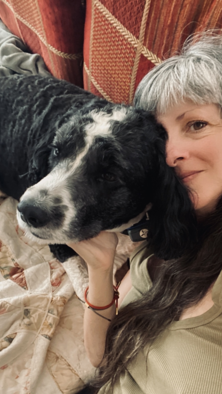 dog sitting near mount airy md